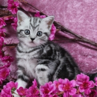 Only Hazel 1.-12.Woche