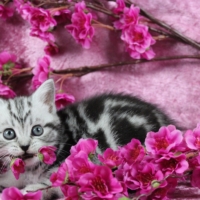 Only Hazel 1.-12.Woche