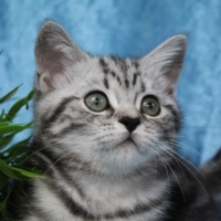 Only Hazel 1.-12.Woche