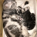 Q-lies, erster Blick ins Nestchen